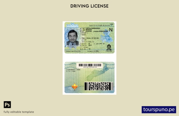 Plantilla de licencia de conducir de Canadá, Nueva Escocia, lista para imprimir